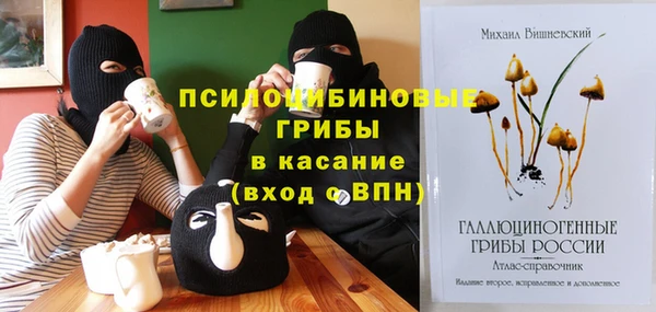 стафф Абинск