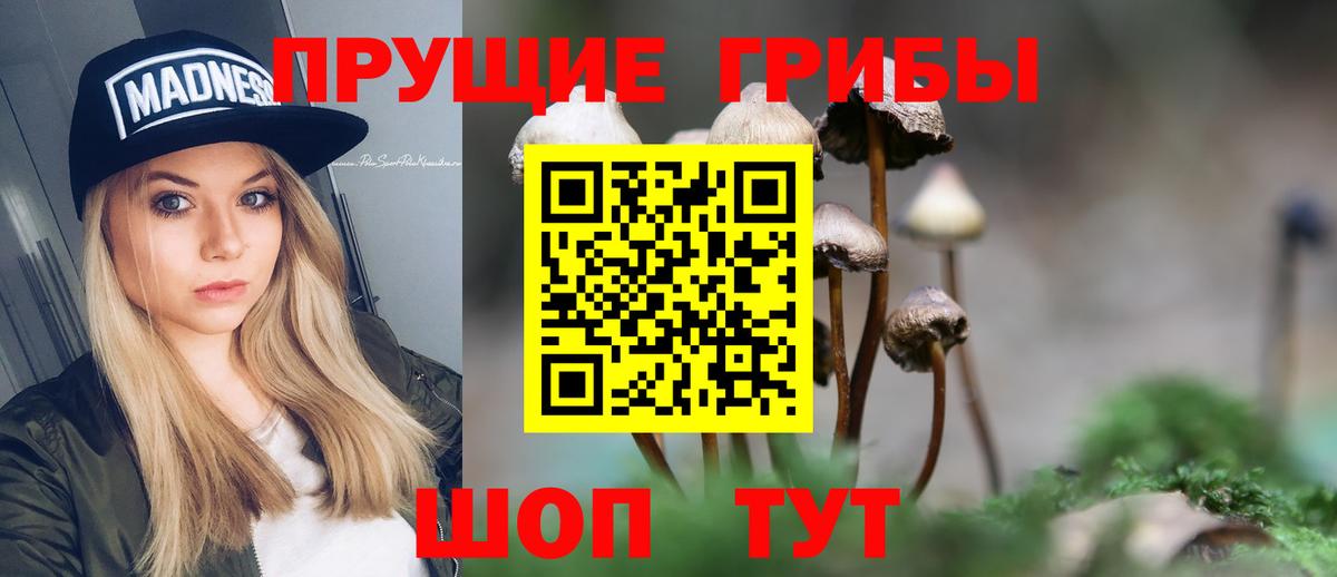 наркотики  Галлюциногенные грибы Psilocybine cubensis  Галлюциногенные грибы Magic Shrooms  Вход с VPN  Ялуторовск 